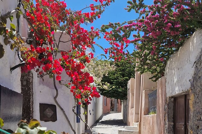 3 hours Panoramic Tour to Oia - Stop 3: Your Hour in Oia Village (Shop, Walk, Pick Your View)