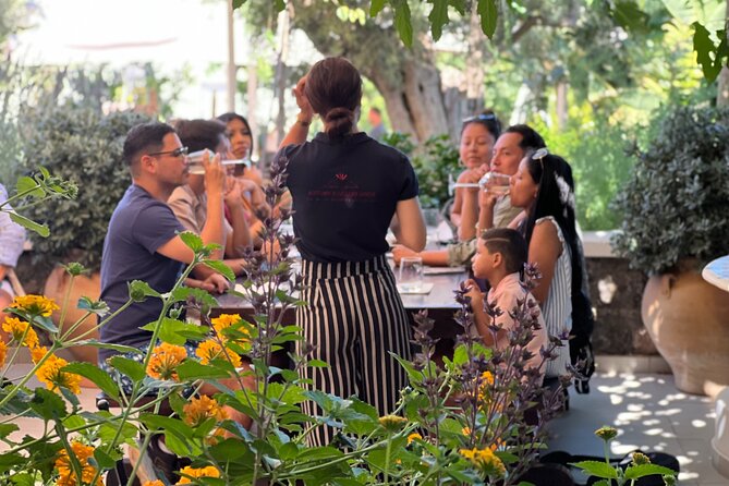 3 Wineries wine tasting & Greek Meal -Food and Wine pairing - Who should book this Santorini wine tour
