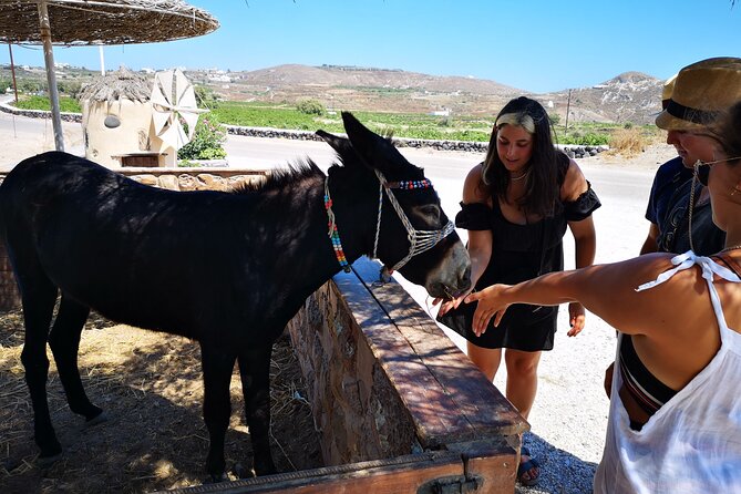 4 hrs PRIVATE island tour and photos, Oia and Blue domes - Meeting point and pickup: how to avoid the usual Santorini confusion