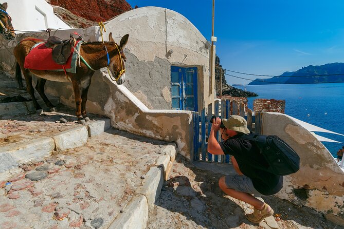 5 Hour Santorini Shore Excursion for Cruise Passengers - Transportation and guide style: small vans, English service, and getting your bearings fast