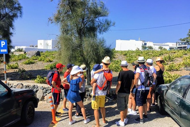 6-Hour Private Best of Santorini Experience - Who this tour is best for (and who might prefer something else)