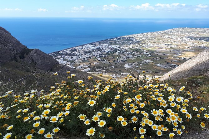 Amazing sightseeing in Santorini 2022 - A quick hit of Santorini in a private 3-hour plan