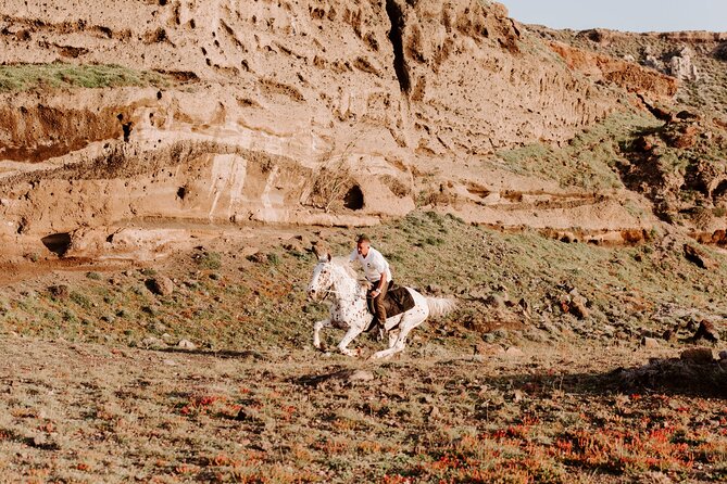 Beach Gallop - Horse Riding Safari for Experienced Riders - Price and Value: Is $192.04 Worth It?