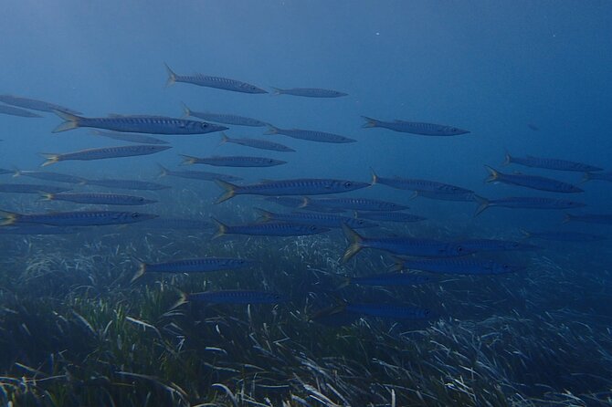 Discover Scuba Diving in Santorini - Your PADI intro: video, fitting, and safety habits
