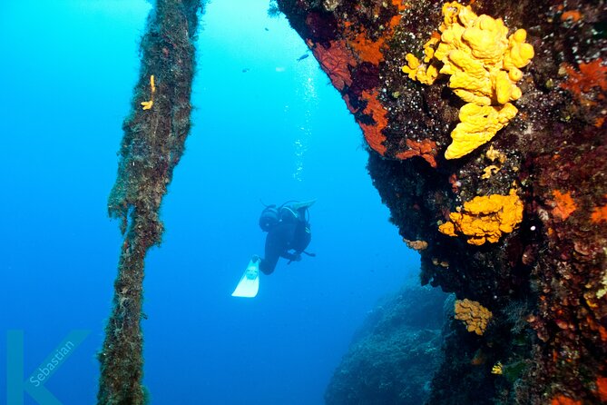 Discover Scuba Diving in the Caldera of the Volcano in Santorini - Quick hits before you go
