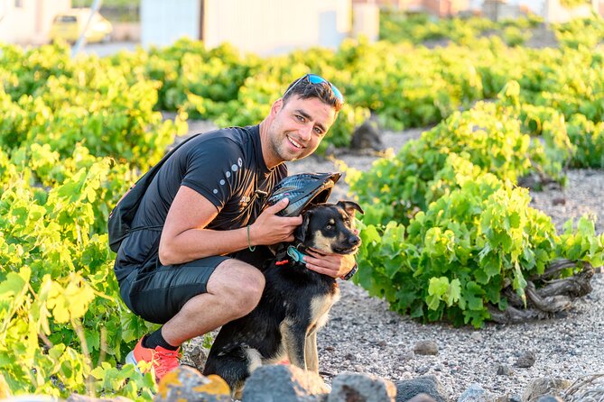 E-Bikes Rental in Santorini - Safety and Comfort: What the Guides Help You Avoid