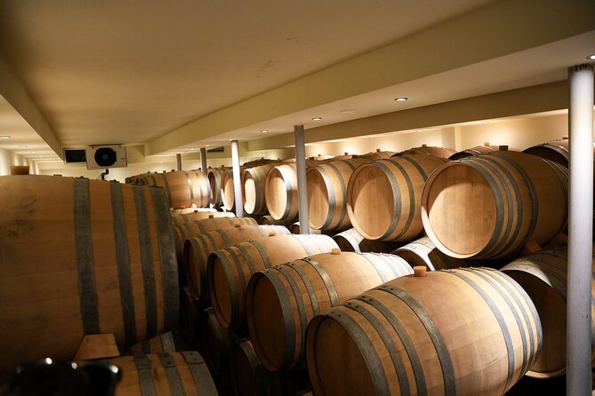 Experience Santorini Award-Winning Wineries with Sunset & snacks. - Snacks with the tastings: what you actually eat