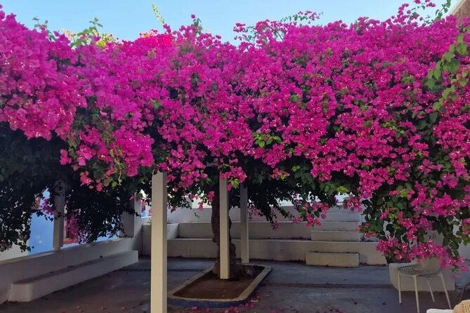 Explore Santorini in 3 hours With a Local Guide - What’s included versus what you’ll pay extra