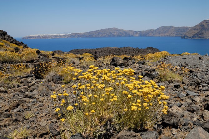 Full Day Santorini Caldera Cruise - When this cruise might not be the right match