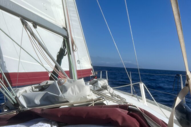 Half day Private Sailing cruise in Santorini island up to 6 pax - Snorkeling equipment and caldera water: what’s included