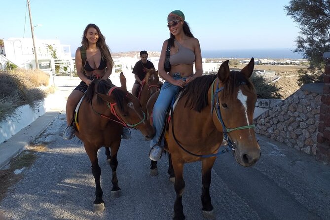 Horse Riding: Explore Secret Thera - The 1-Hour Rhythm: What to Expect From Start to Finish