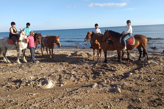 Horse Riding: Explore Secret Thera - Stop 1: Megalochori Village Lanes and the Real-Place Vibe