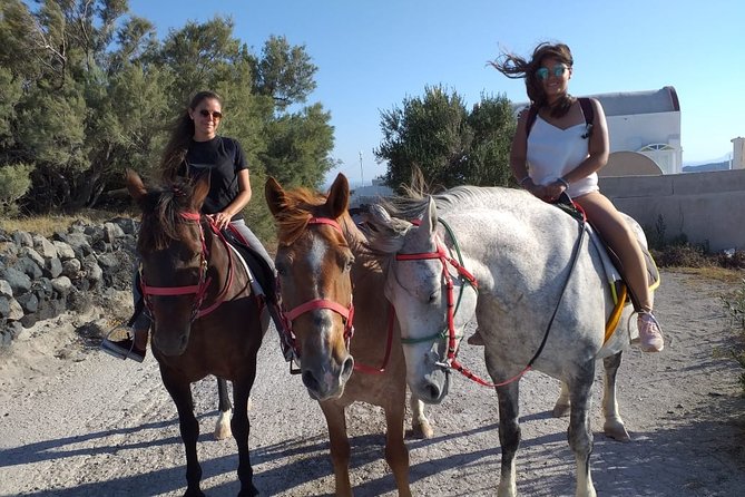 Horse Riding: Explore Secret Thera - Stop 2: Toward Santorini’s Caldera Viewpoints (Camera Time Included)