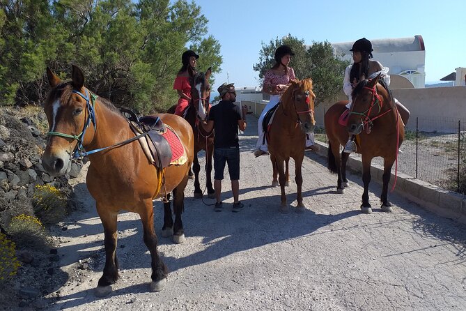 Horse Riding: Explore Secret Thera - Horses and Care: What to Believe and What to Watch For