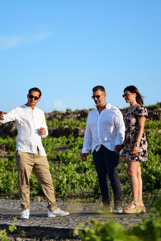 Imerovigli: Premium Wine Tasting with Caldera and Sea Views - Why Santorini’s indigenous grapes taste the way they do