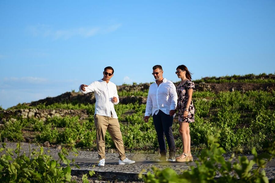 Imerovigli: Premium Wine Tasting with Caldera and Sea Views - FAQ