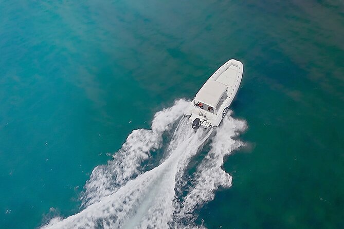Morning or Afternoon 3hour Private boat Tour in Santorini - Price and value: what $708.83 means for a group up to 8
