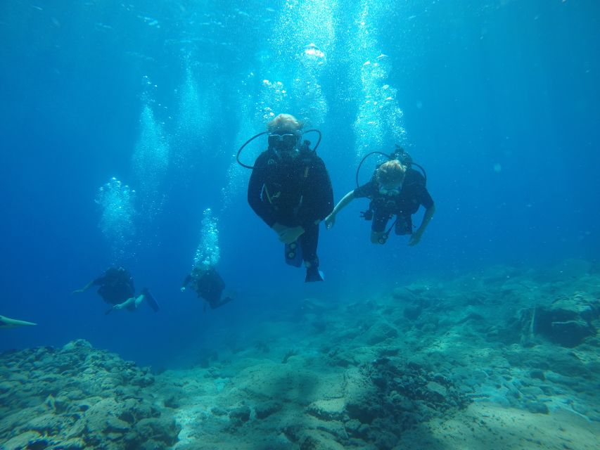 Oia: 2 Guided Scuba Dives off Santorini for Certified Divers - Caldera walls and volcanic islands: what you’ll actually see underwater