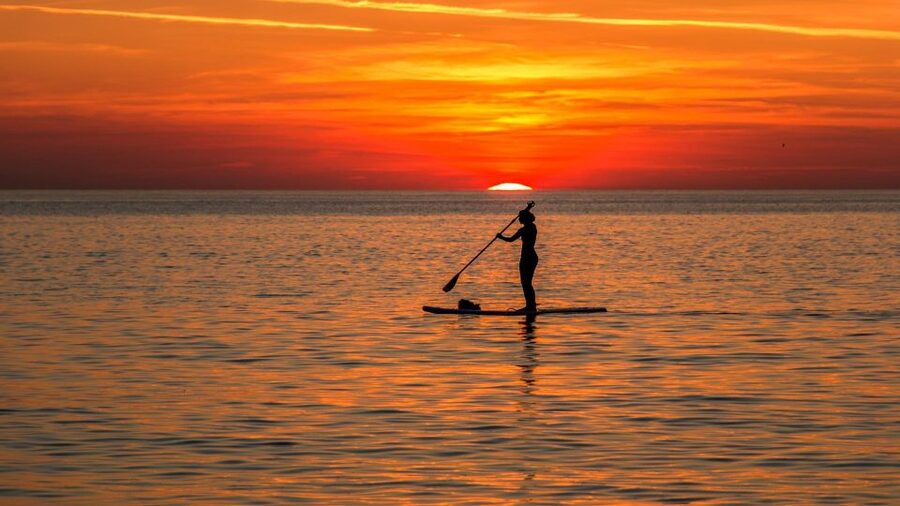 Paddle Board Rental: Glide on the Water with Ease - Key things you should know before you go