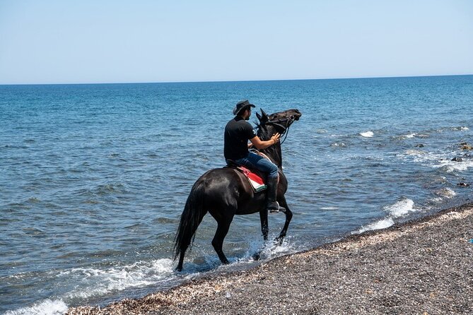 Premium Secluded Black Beach Horseback Riding Tour in Santorini - Price and value: is $108.37 a fair deal for 2 hours?