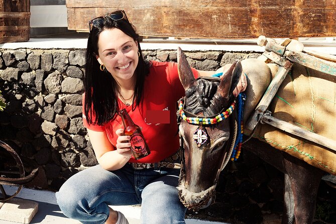 Private Captivating Santorini Highlights Tour inc. tastings - Price and value: what $336.27 pays for on Santorini