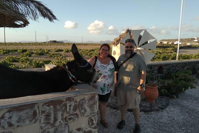 Private Cultural Villages Sightseeing & Akrotiri Excavations - Cruise ship logistics: where you meet and how not to stress