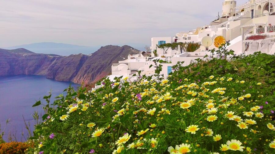 Private Famous Sights Tour with Local Guide in Santorini - Why This 4-Hour Famous Sights Loop Works on Santorini