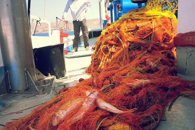 Private Fishing Tour - Morning (transportation included) - Price and value: $480.63 per person for a private boat morning