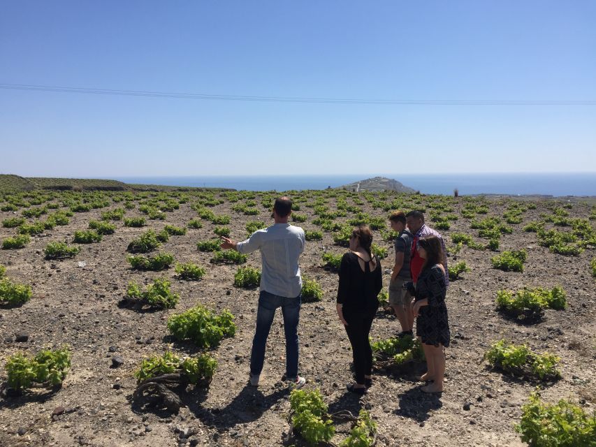 Private Group Visit to Akrotiri & 3 Wineries with Tastings - Price and value: what $294 per person is buying