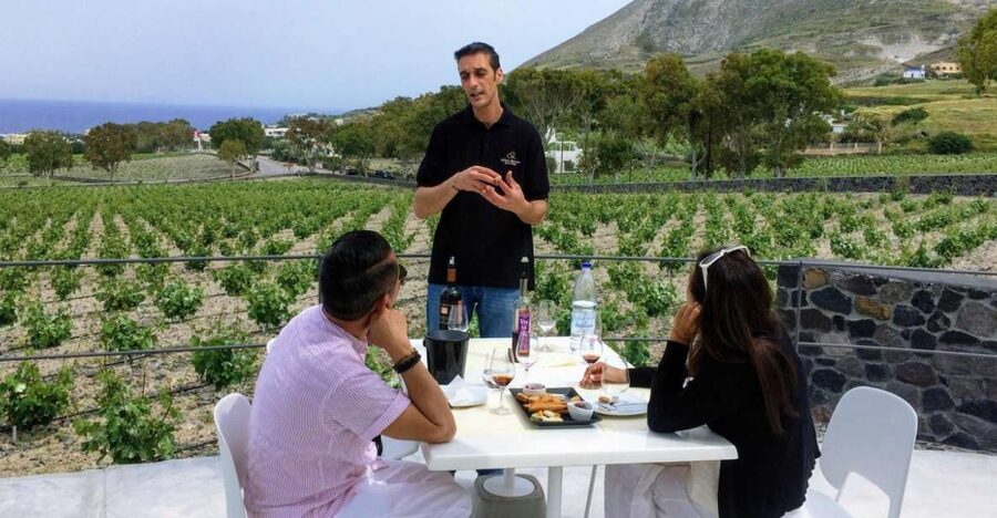 Private Group Visit to Akrotiri & 3 Wineries with Tastings - The guide factor: service style you can feel in small details