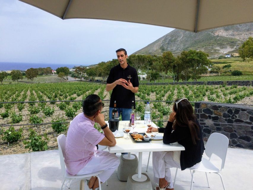 Private Group Visit to Akrotiri & 3 Wineries with Tastings - Who should book this Akrotiri + 3 wineries tour