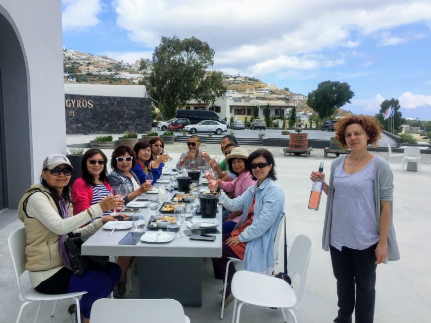 Private Group Visit to Akrotiri & 3 Wineries with Tastings - From volcanic city to volcanic wines: how the day flows