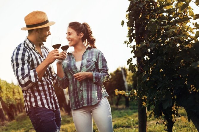 Private Santorini Fine Wine Tasting - A private wine tour that’s built for real tasting, not just photo stops