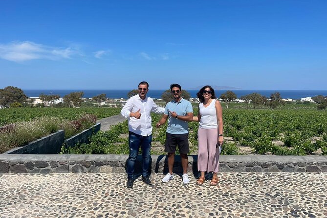 Private Santorini Fine Wine Tasting - Stop 3: Art Space Winery Museum Art Gallery in Exo Gonia