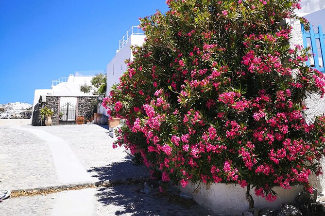 Private Santorini Highlights Tour with Easy and Flat Walks - How This Easy Santorini Route Fits a 4-Hour Day