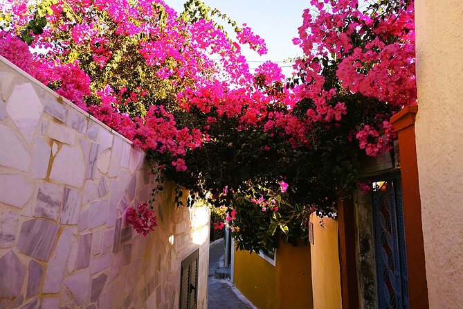 Private Santorini Highlights Tour with Easy and Flat Walks - Private Transportation That Actually Makes the Day Easier