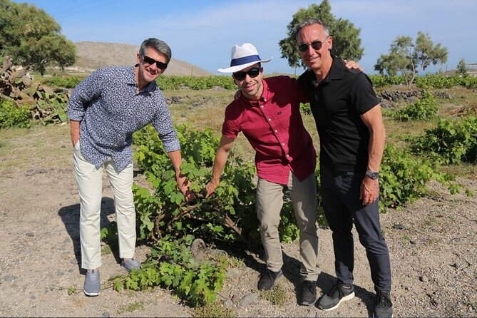 Private Santorini Sunset Wine Tour with Tastings and Tapas - Stop 3: Santo Wines—free admission and the sunset finish