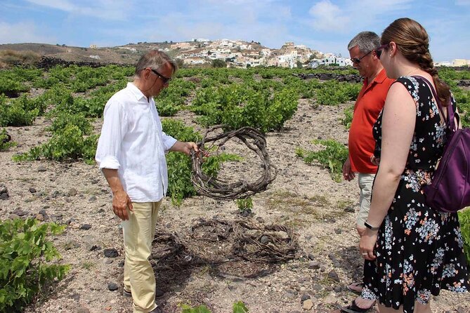 Private Tour: Ancient Akrotiri and Santorini Wineries Tour - Who should book this Akrotiri and Santorini wineries tour