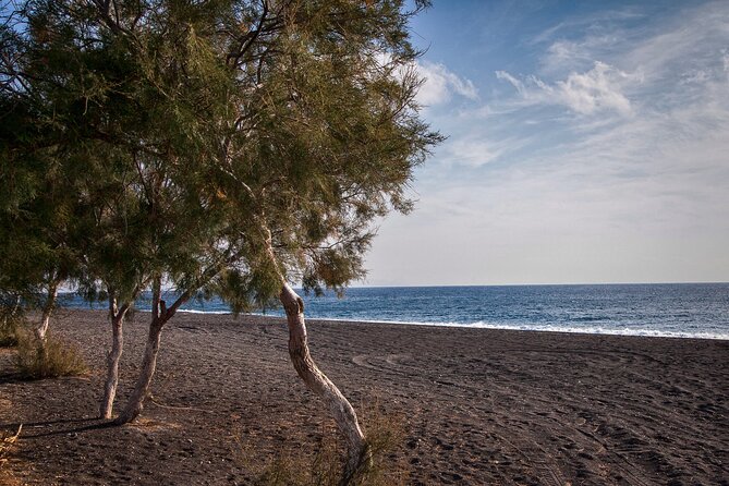 Private Tour: Discover South of Santorini - Village Stops Without the Hard Sell: Megalochori and Kamari Flavor