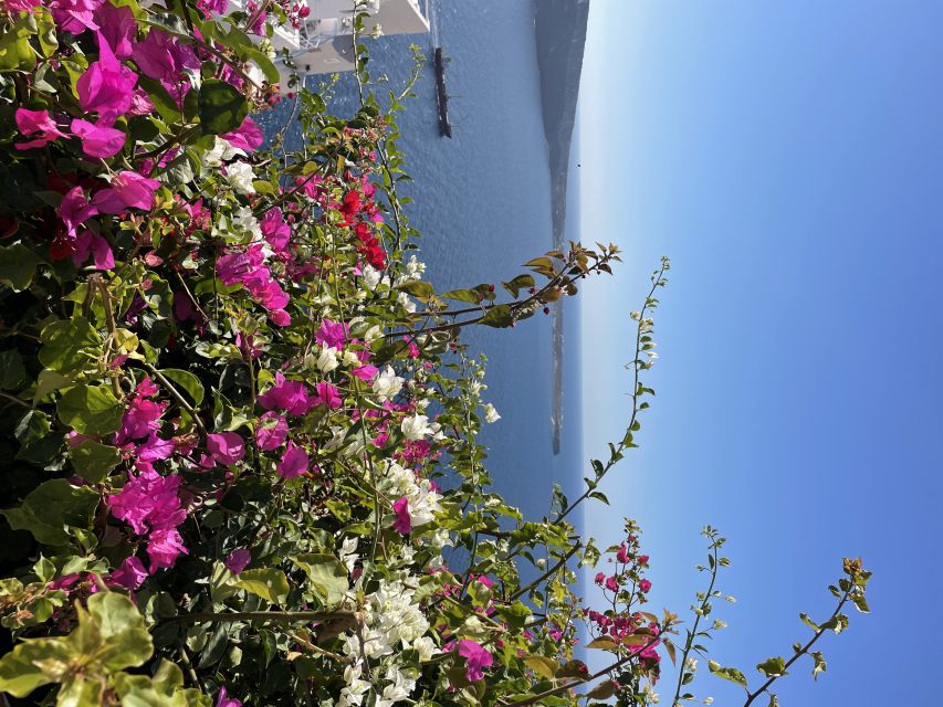 Private Tour of the Famous Blue Domes and Caldera - Oia first: churches, Kastro houses, windmills, and Castle views