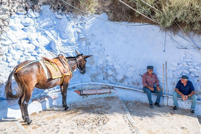 Private Tour Santorini: Explore the Island in One Day - Imerovigli Cliffs and the Blue Dome Moment (45 Minutes)