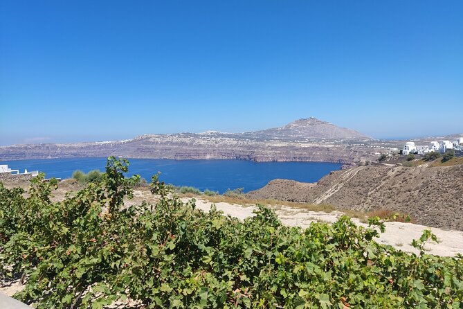 Private Transfer Santorini One-way From/To Airport, Port & Hotel - What Timing Feels Like: Early Flights and Busy Days