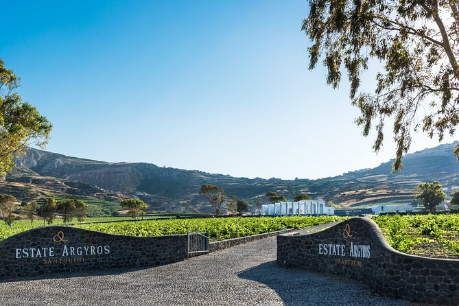 Private Wine Adventure Tour in the Most Distinct Wineries - Santo Wines: caldera-edge views and a sommelier option