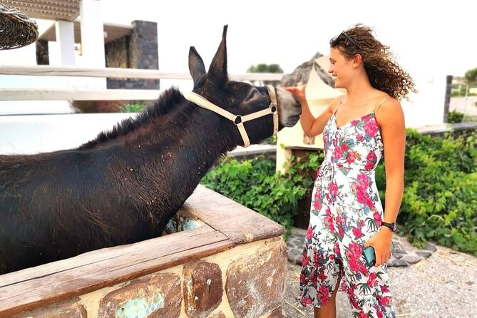 Santorini 4 hours Private Tour : Visit all the hotspots - A Private 4 Hours That Hits Oia, Fira, and Santorini’s South Edge