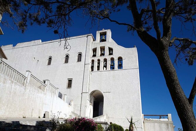 Santorini: 4hr Wheelchair Private Accessible Tour - The private tour advantage: comfort, control, and pacing