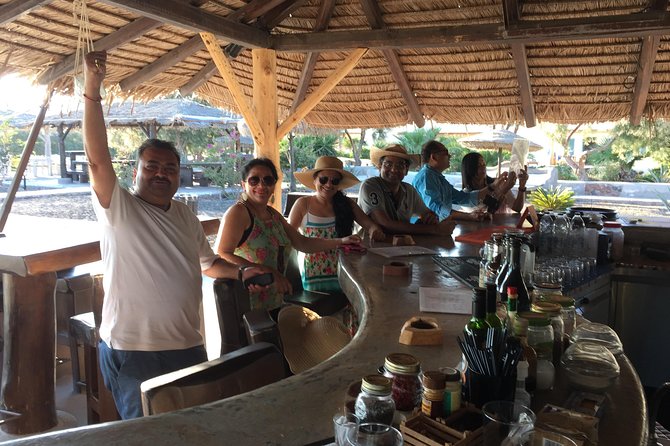 Santorini Blue Domes Private Tour - Who this Santorini Blue Domes Private Tour suits best