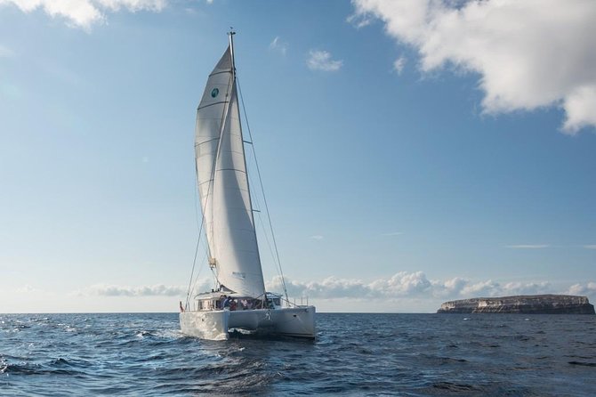 Santorini Caldera Sailing Tour with BBQ Lunch and Drinks - Palea Kameni and Nea Kameni: Volcanic Islands and Warm Springs