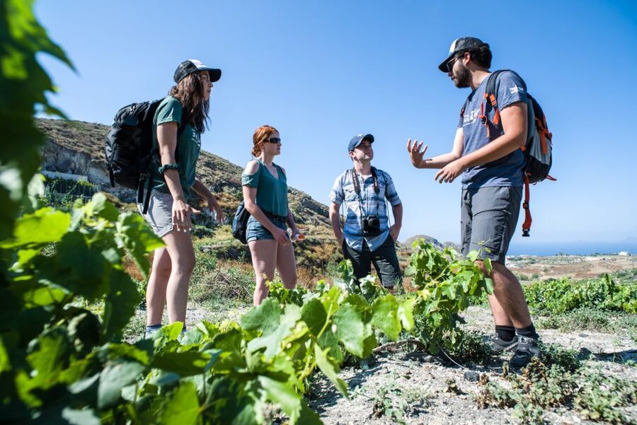Santorini: Cooking Class and Easy Hike - Mesa Pigadia black-sand beach: your swim break and reset