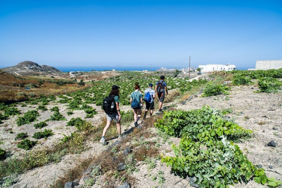 Santorini: Cooking Class and Easy Hike - Transportation and timing: getting there without stress
