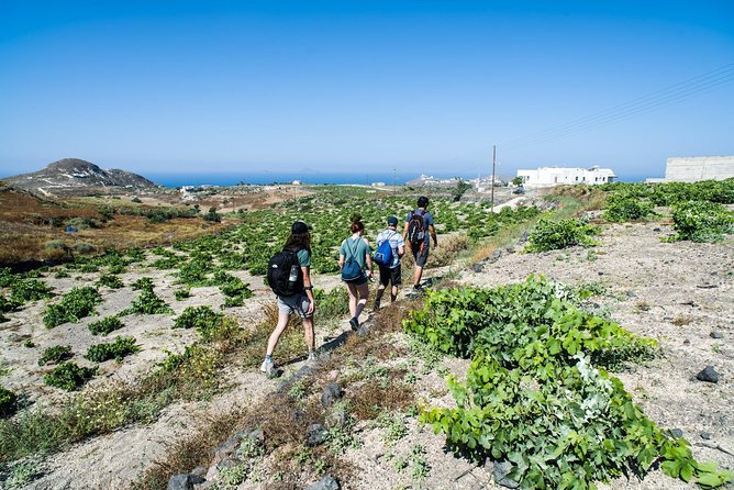 Santorini : Cooking Class & Easy Hike - Eating Your Work: Lunch Included, Views Included, No Guesswork
